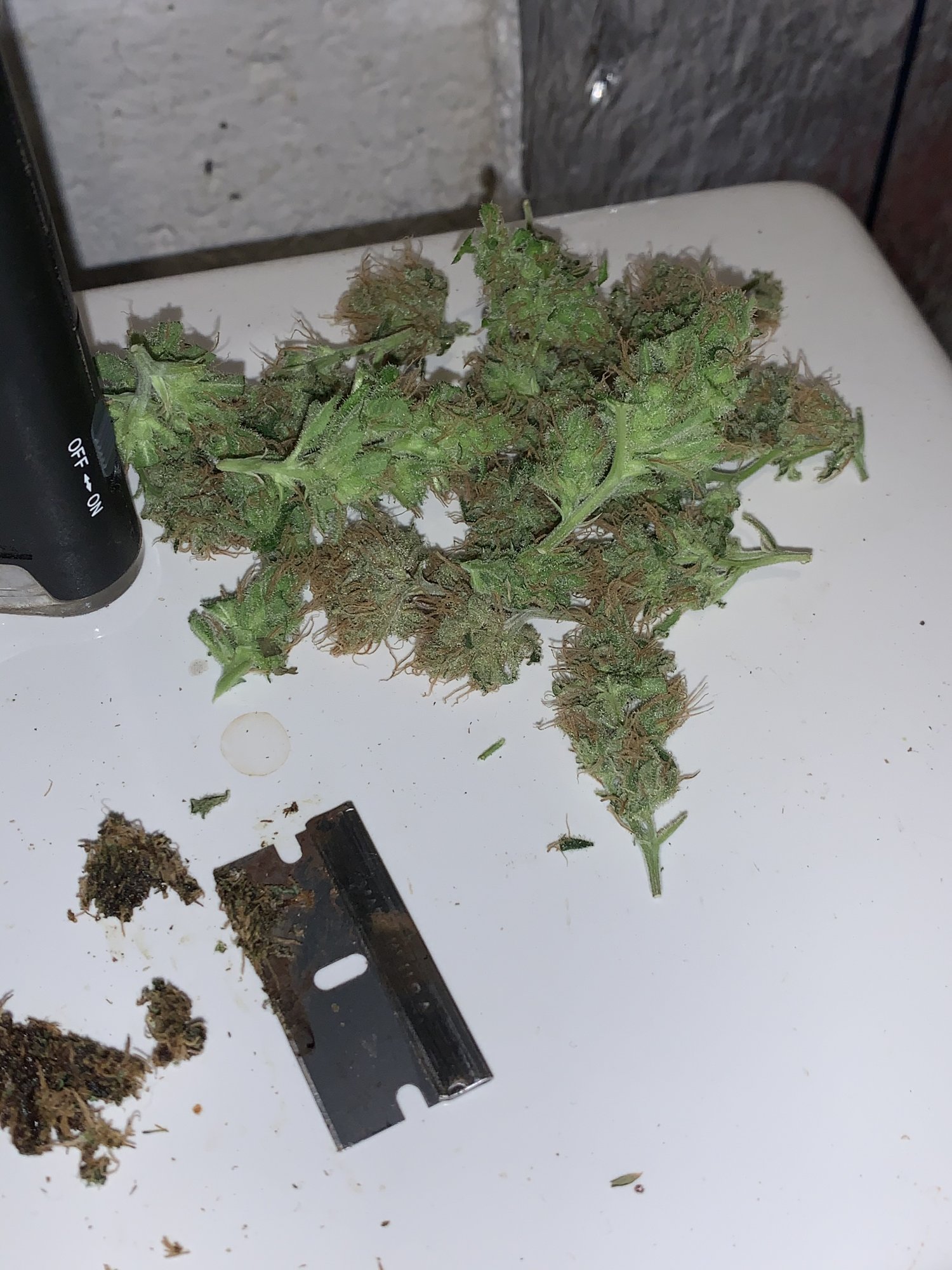 F1354A21 07C5 4DF1 A924 9163BA58351D