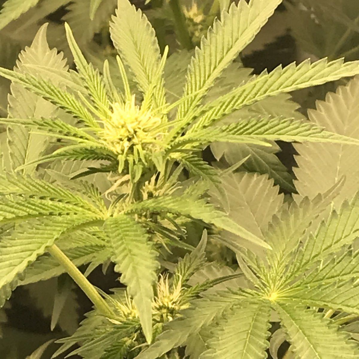 F269AD45 C964 41A2 9946 FBA033EC30DC
