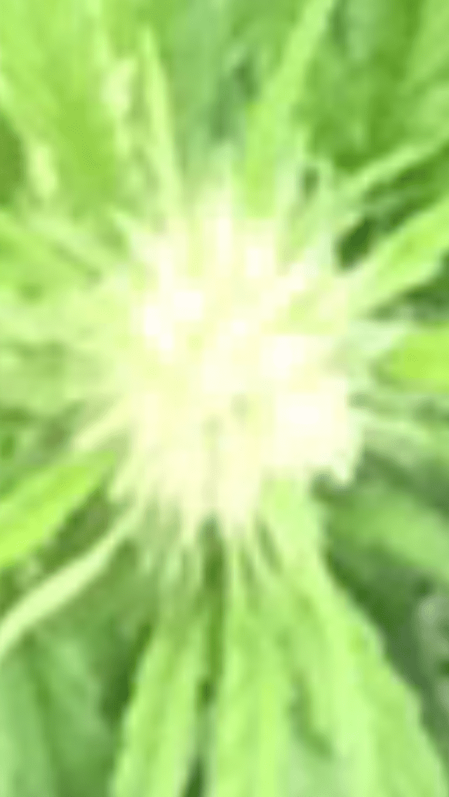 F2B4DDD4 A960 4B7F A5A9 C0860DE58741