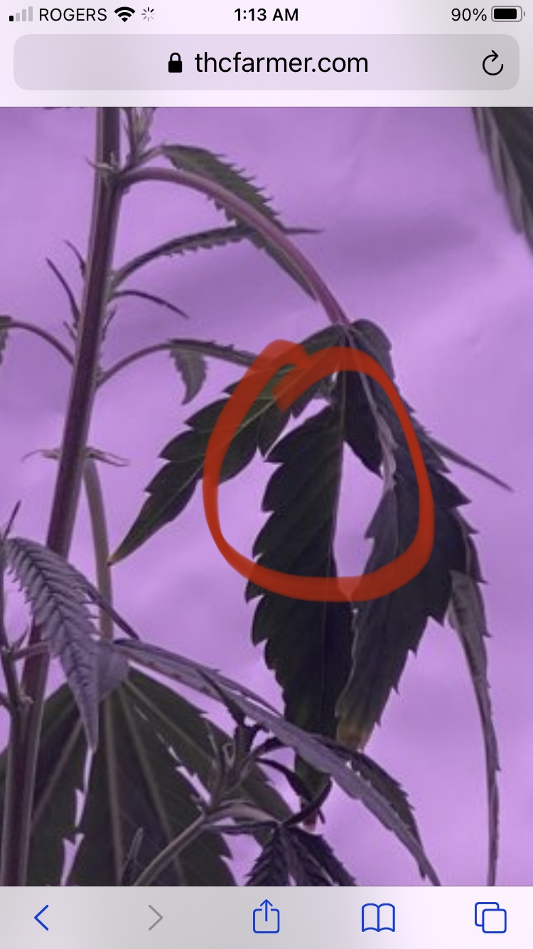F420E5E1 BB41 46E0 B63E D419E07CBB9C