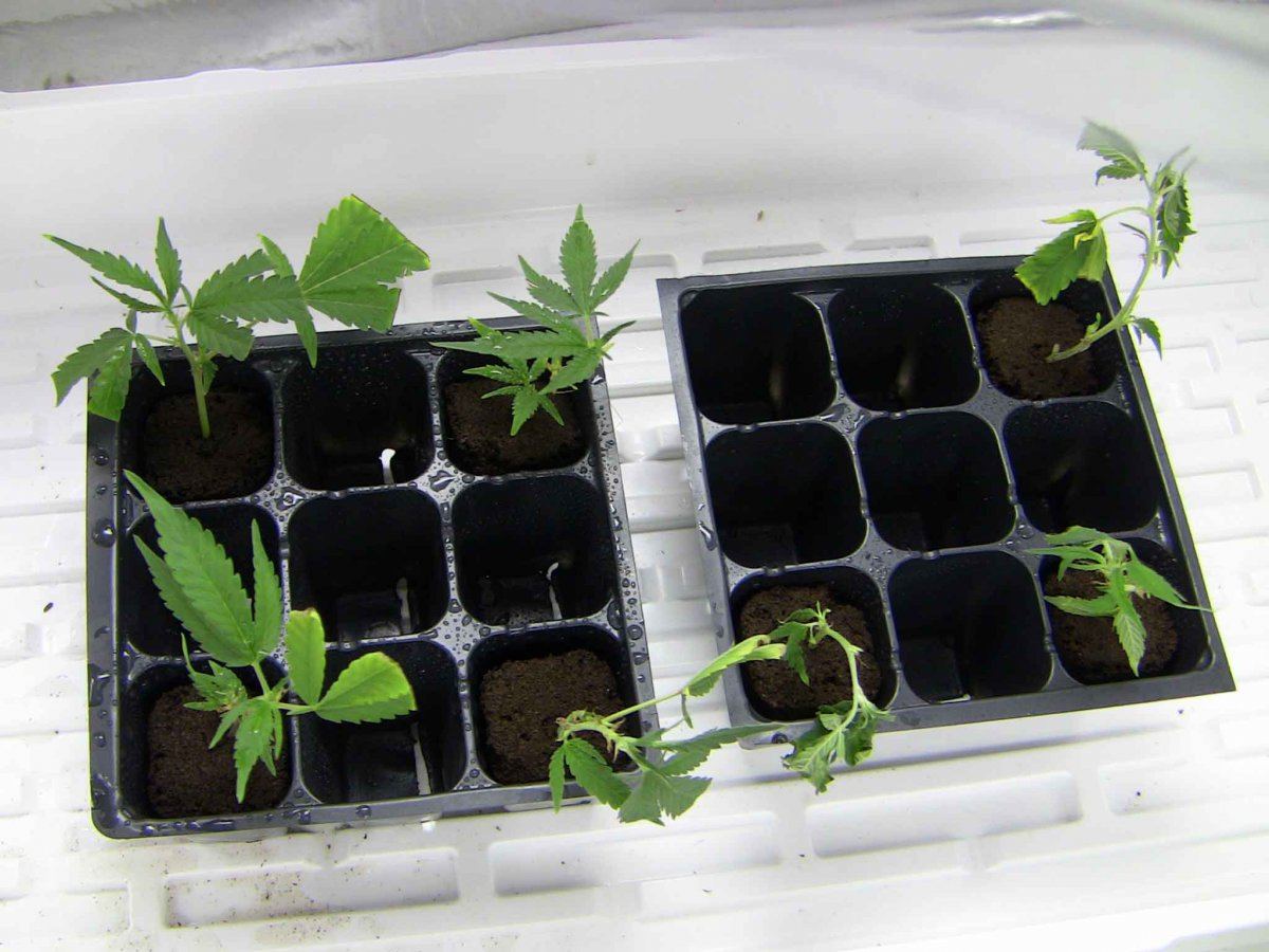 F47