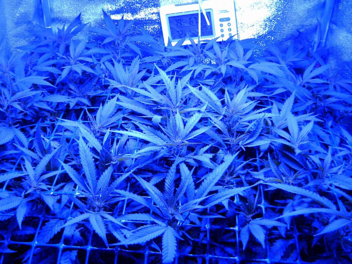 F72
