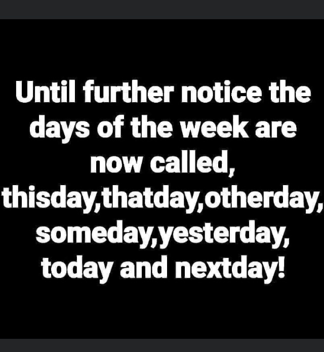 F948DBA2 FD54 43C9 8AED 5871A2067782