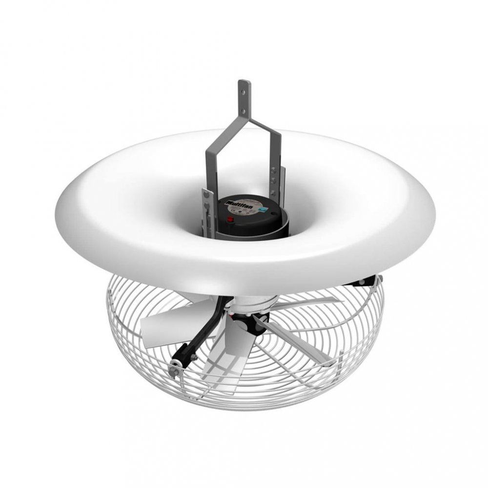 Fa vfl 1