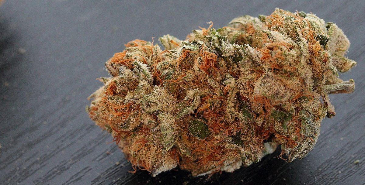 Fa14