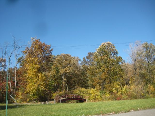 Fall colors 5
