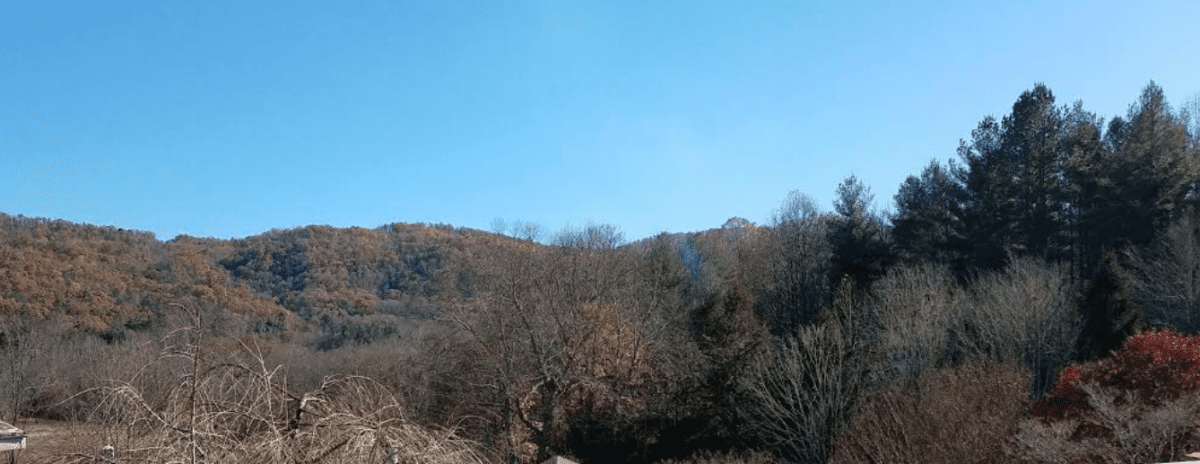 Fallpics2111019
