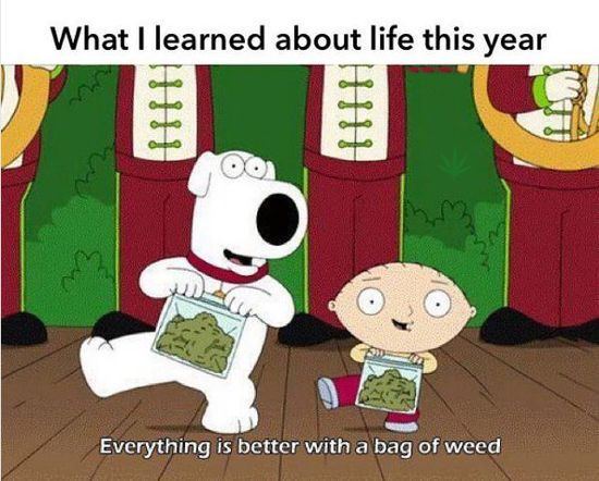 Family guy