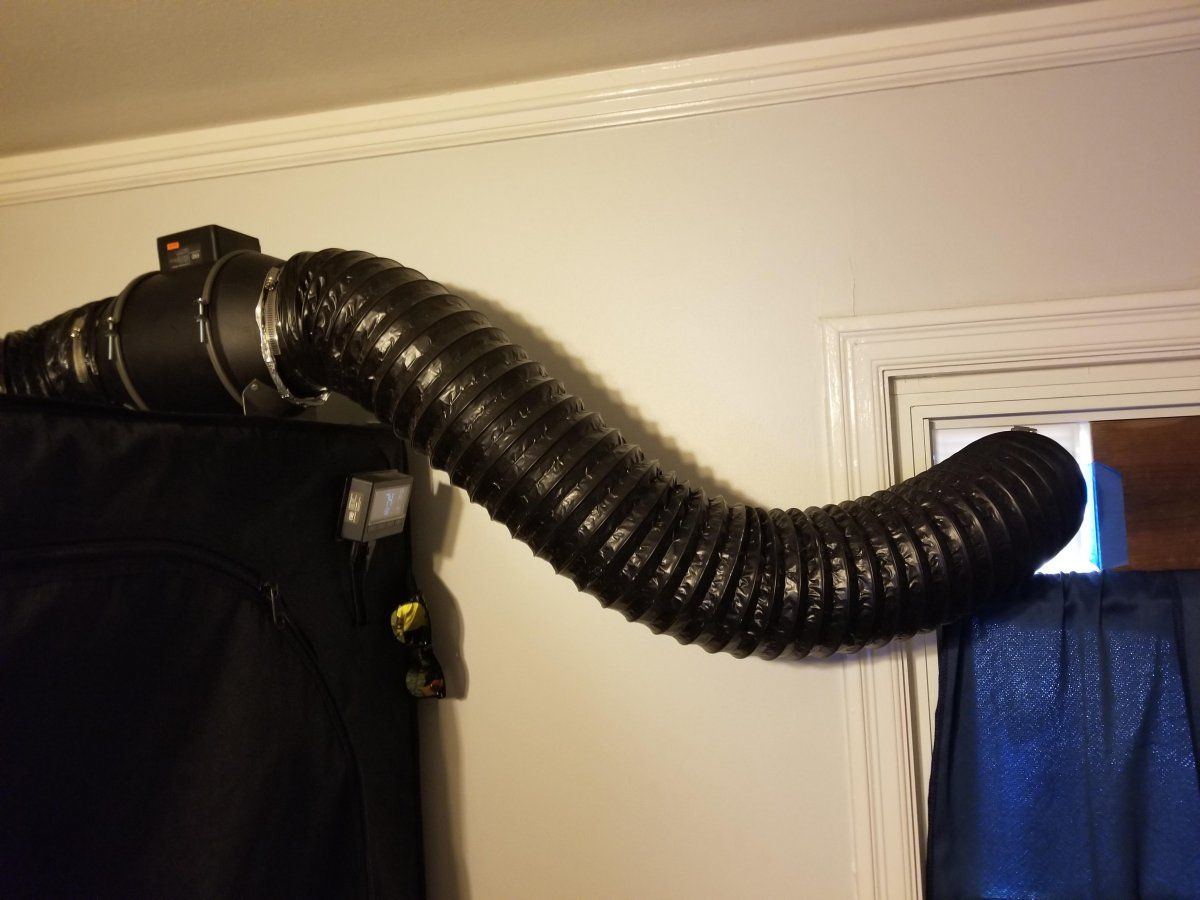 Fan and exhaust