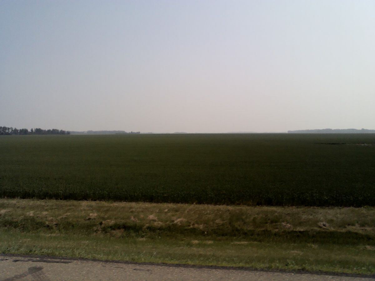 Farm