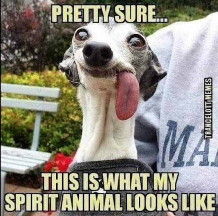 FB IMG 1665847629101