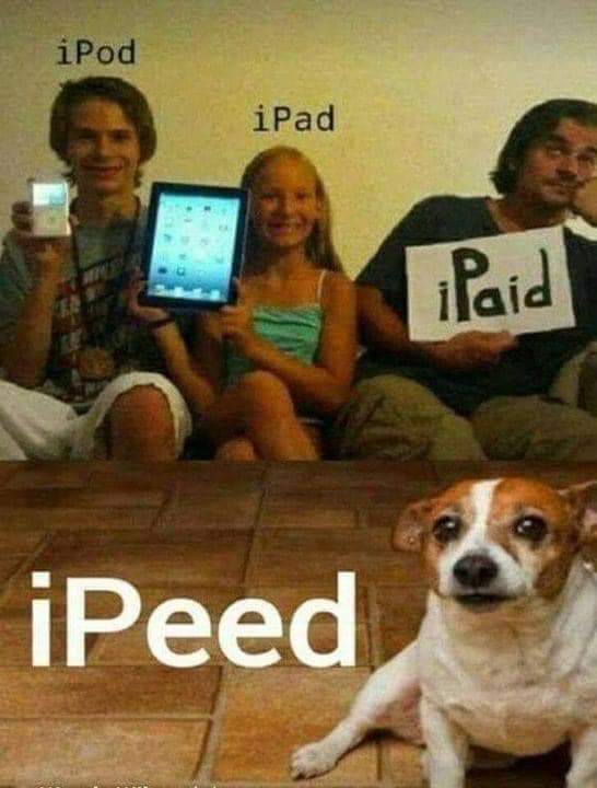 FB IMG 1699342836426