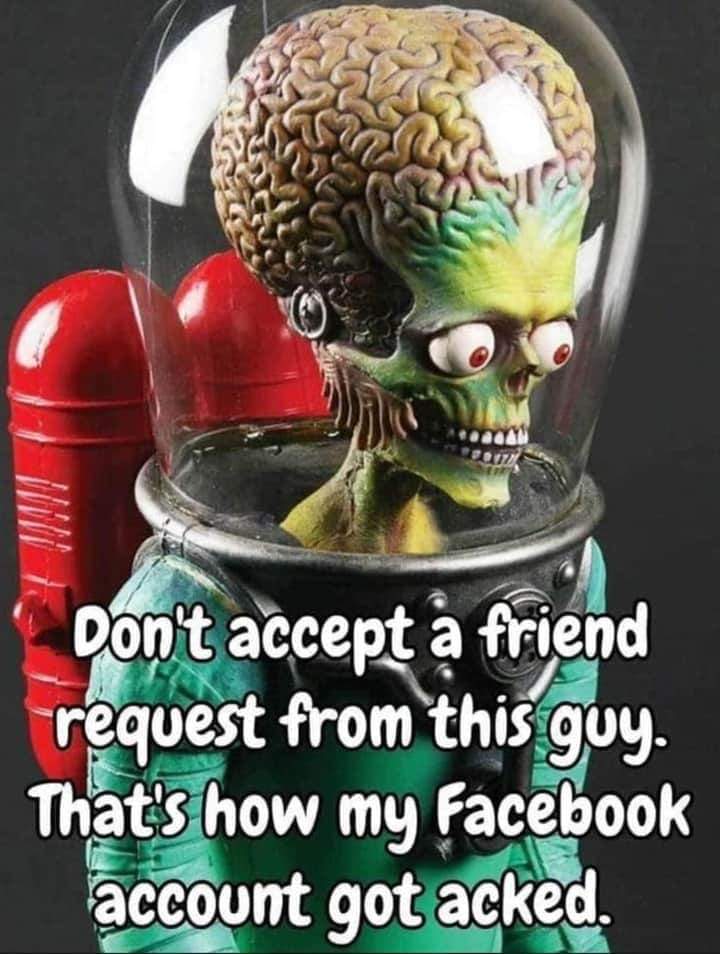 FB IMG 1718650287162