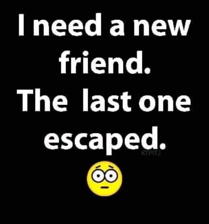 FB IMG 1723693759376