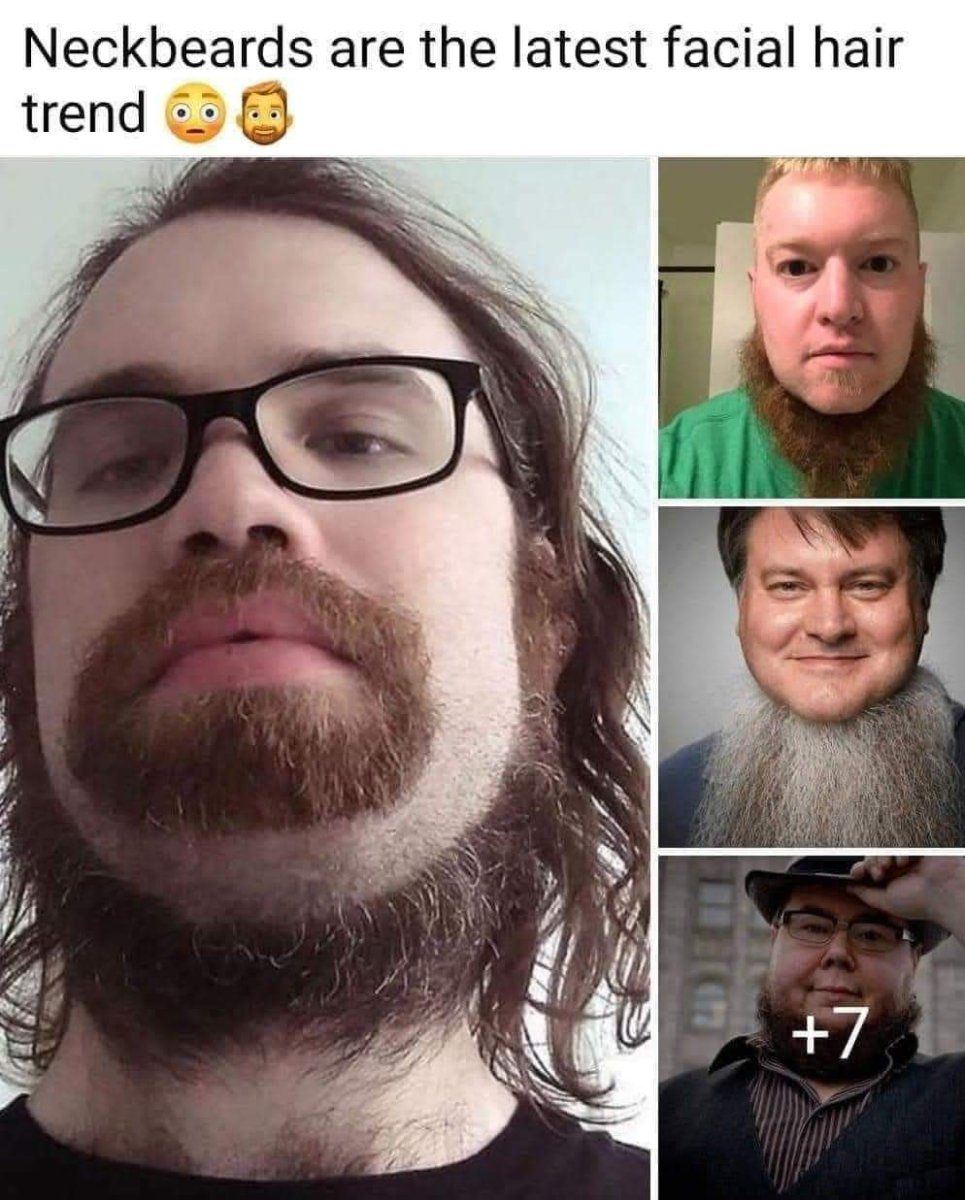 FB IMG 1731988165963