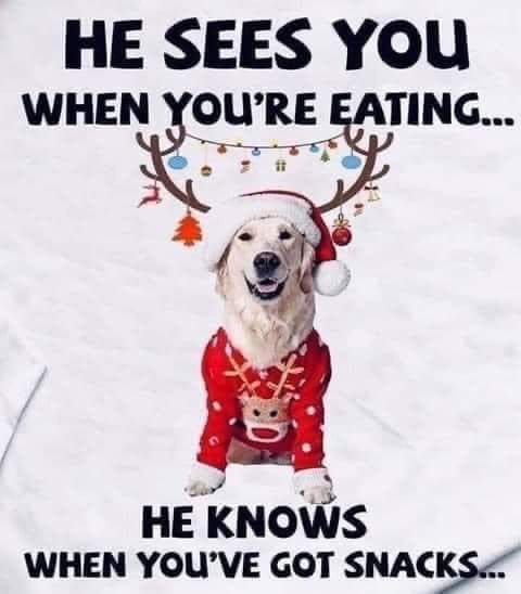 FB IMG 1732286737103