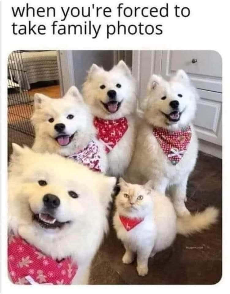 FB IMG 1732977054693