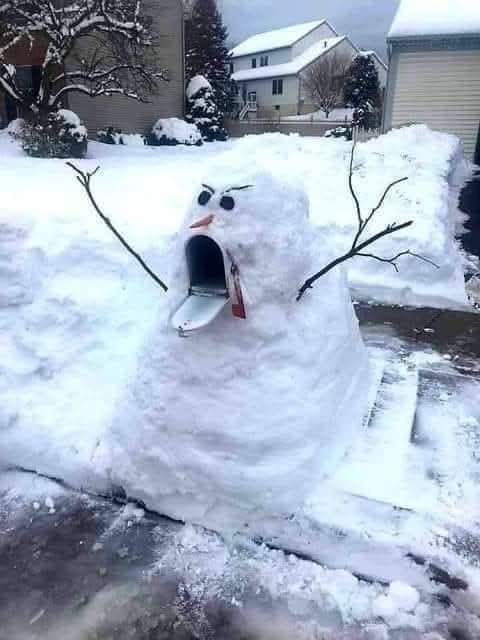 FB IMG 1733451034903