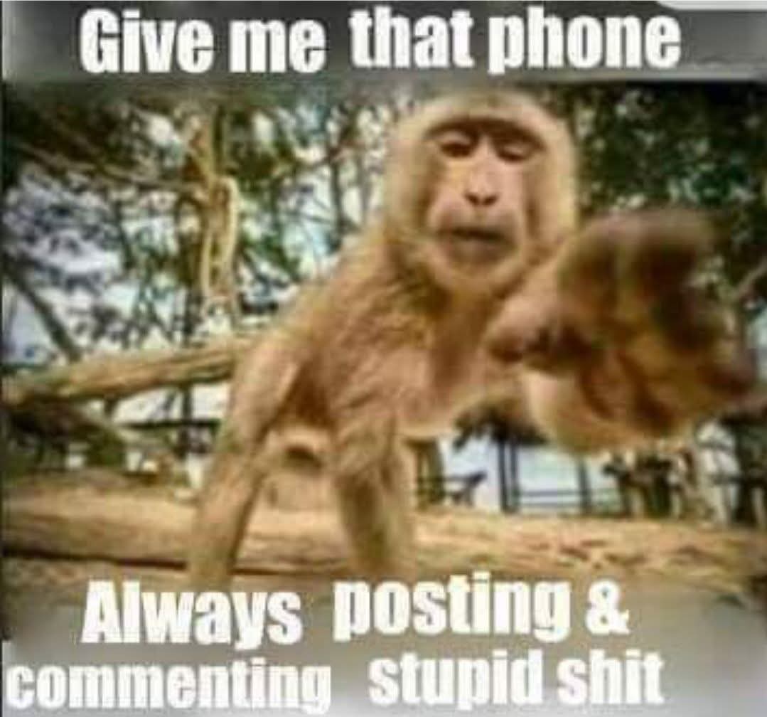 FB IMG 1740754198707