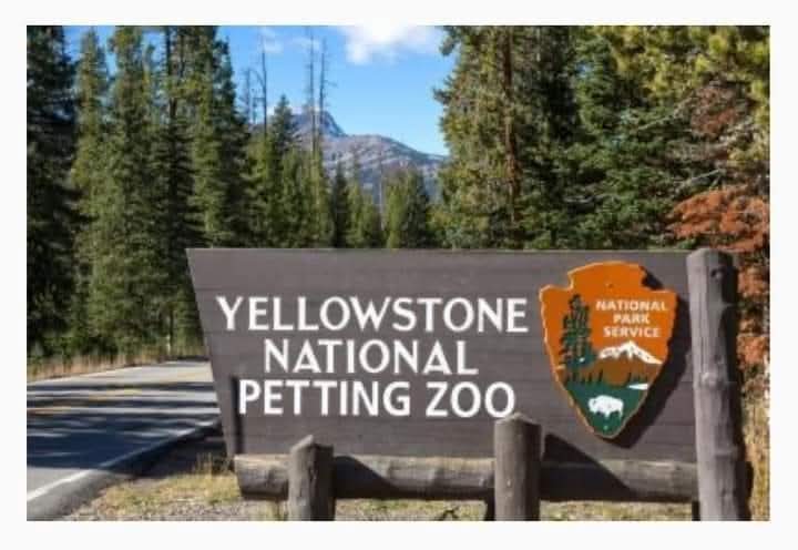 FB IMG 1743728678983
