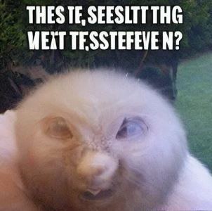 Fdgnhdthn