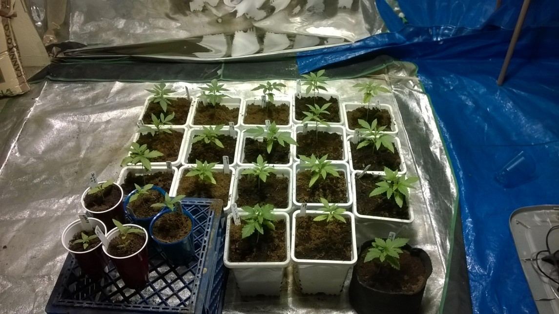 Feb 1 pic 2