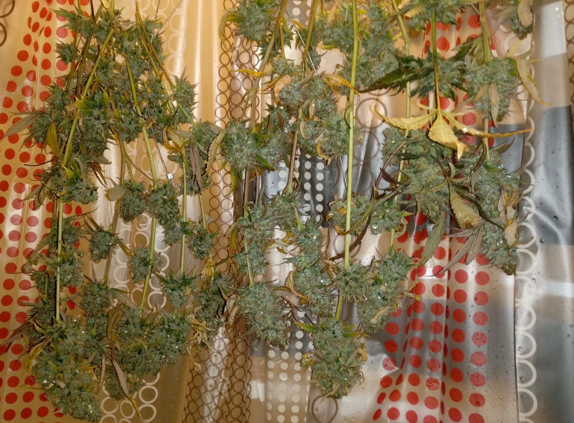 February Harvest