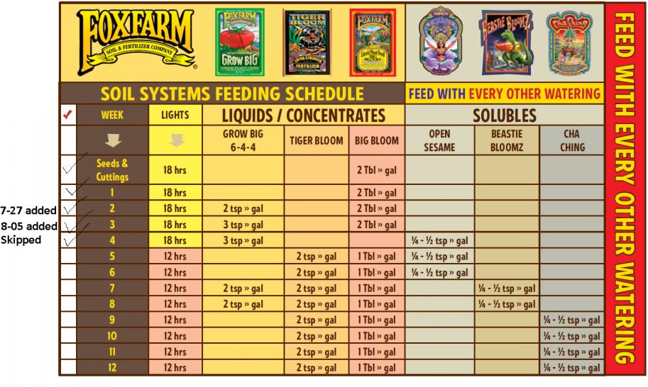 Feeding Schedule
