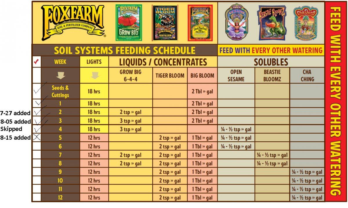 Feeding Schedule