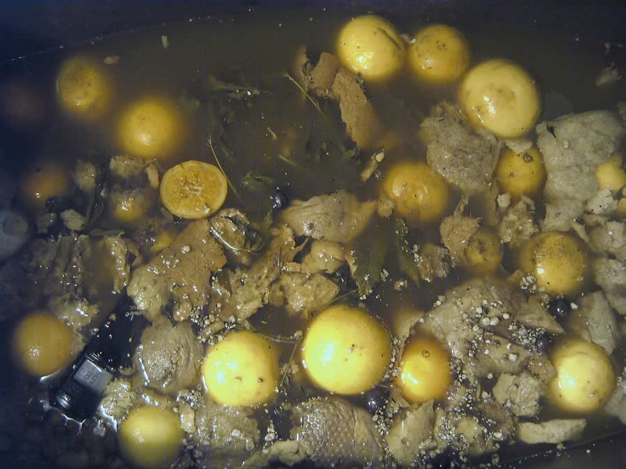 Ferm1