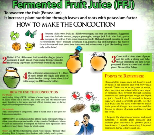 Fermented fruit juice