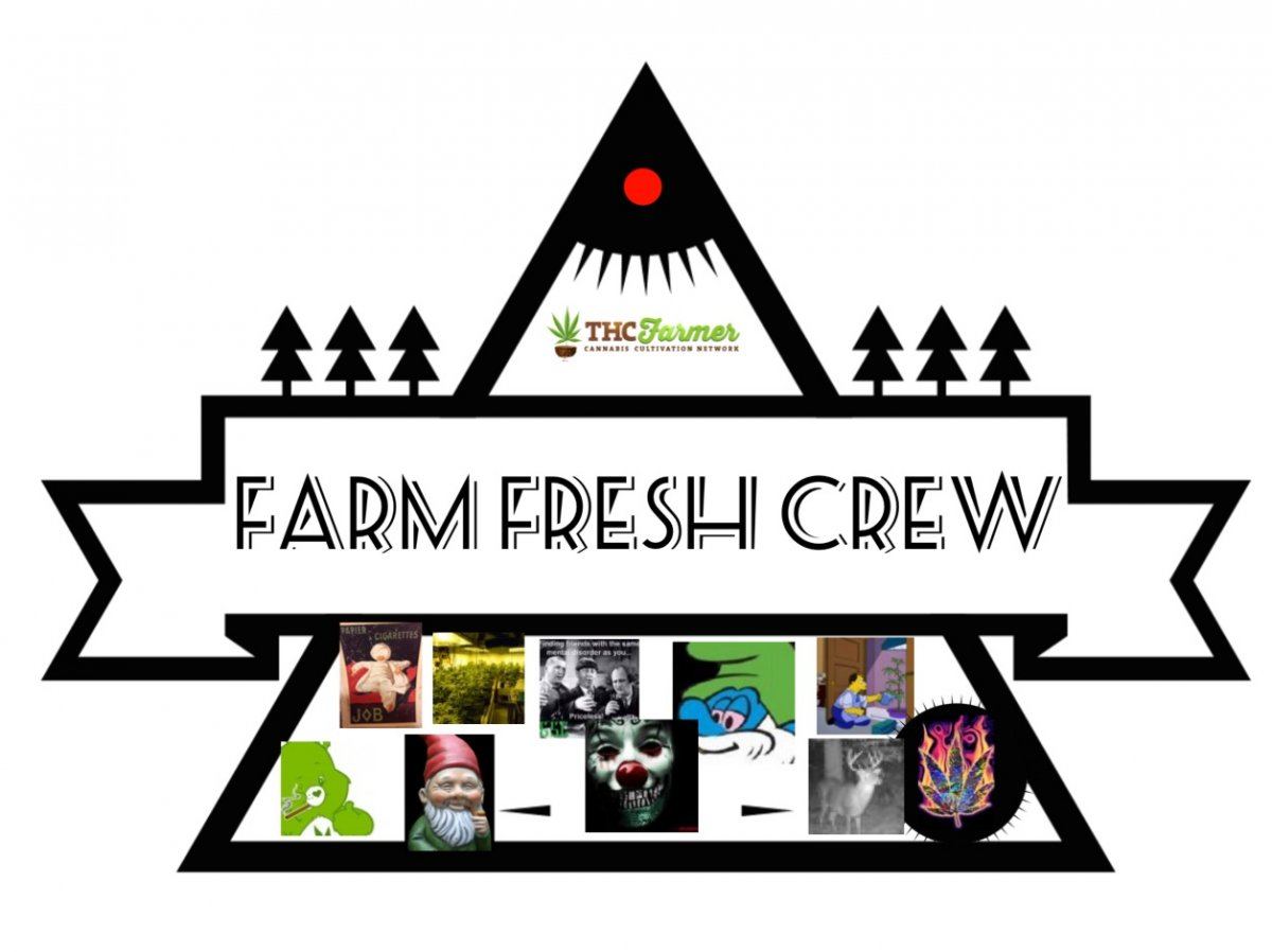 FFC
