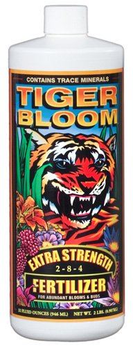 Fftigerbloomqt