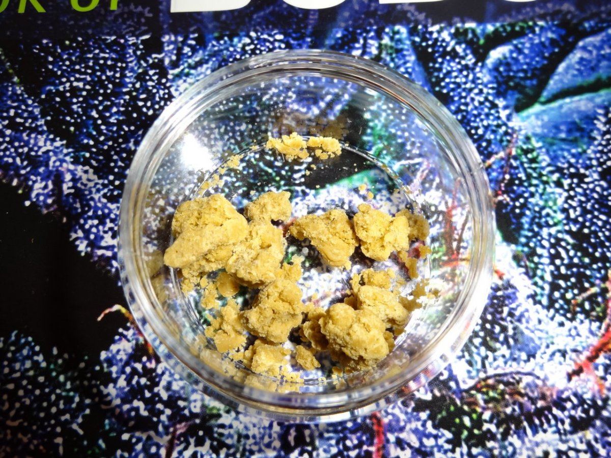 Fi rom bud 011