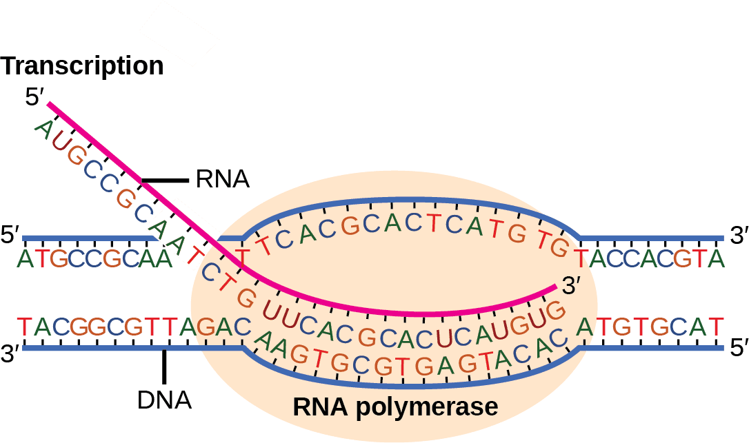 Figure 15 02 02a