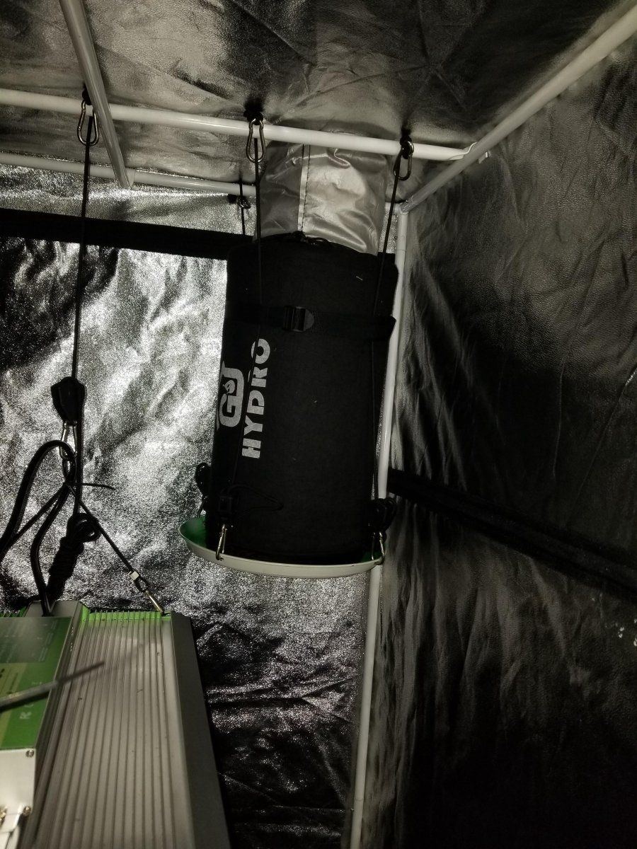 Filter placement