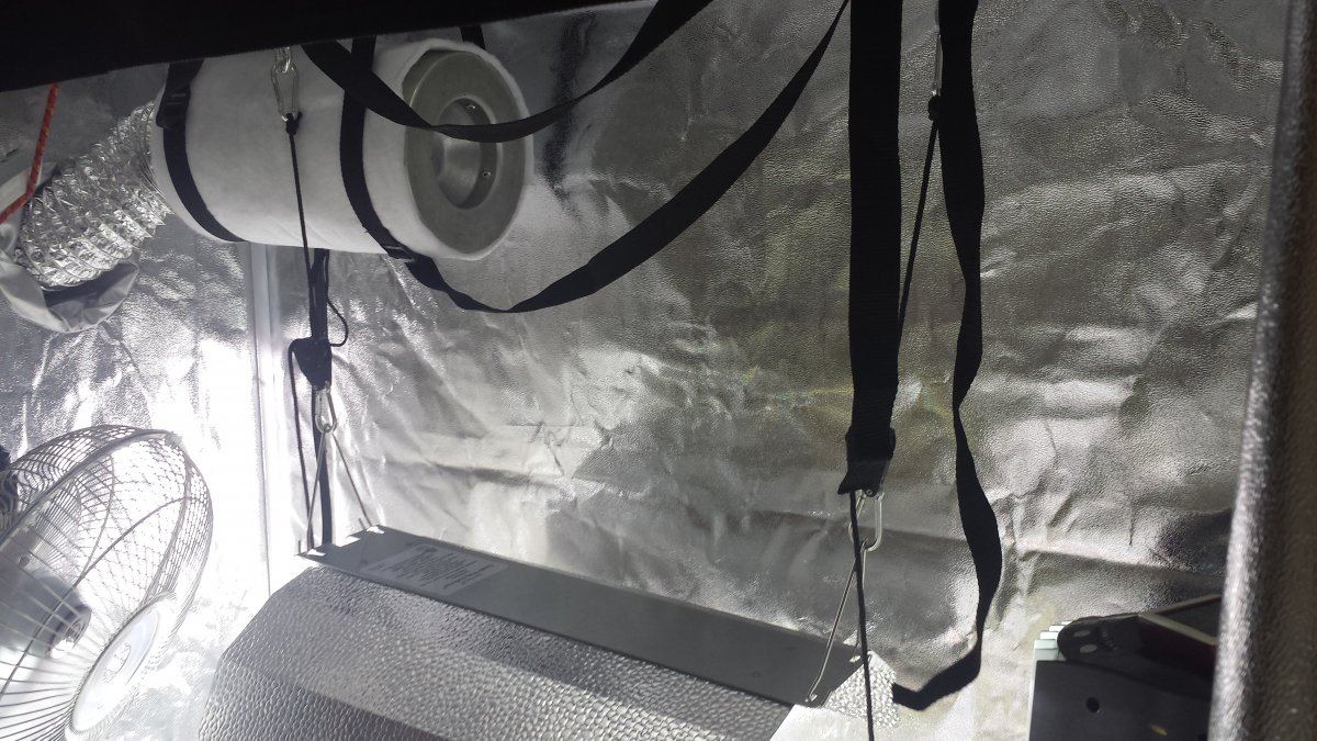 Finished tent 4