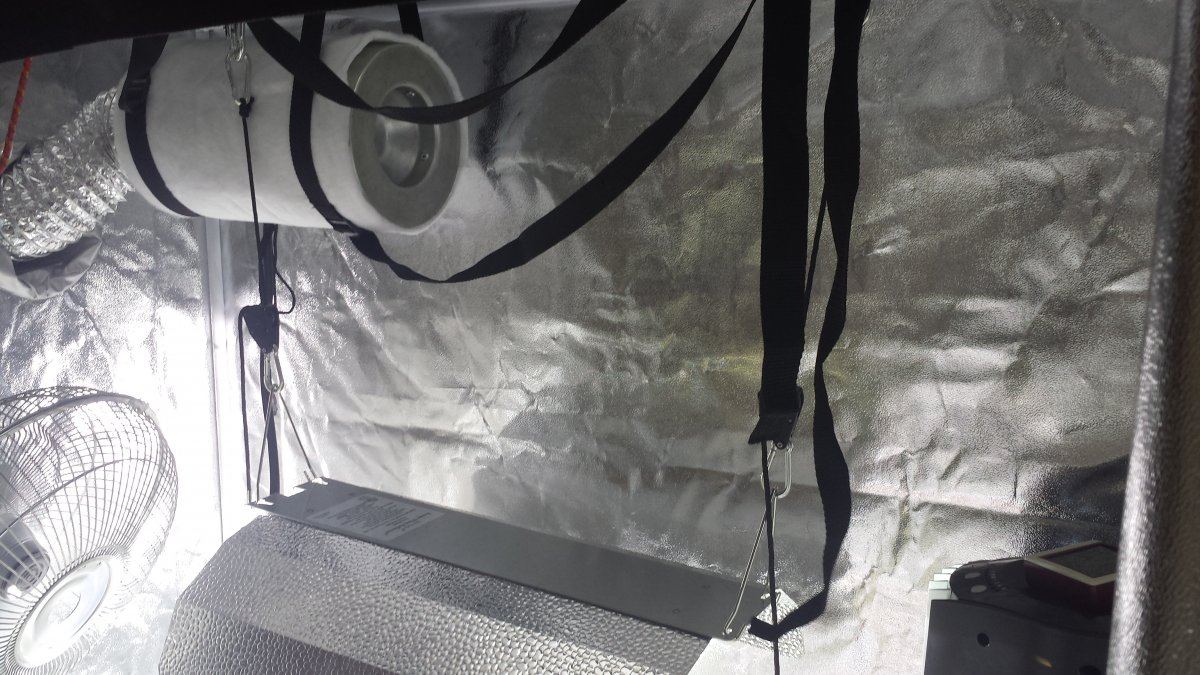 Finished tent 5