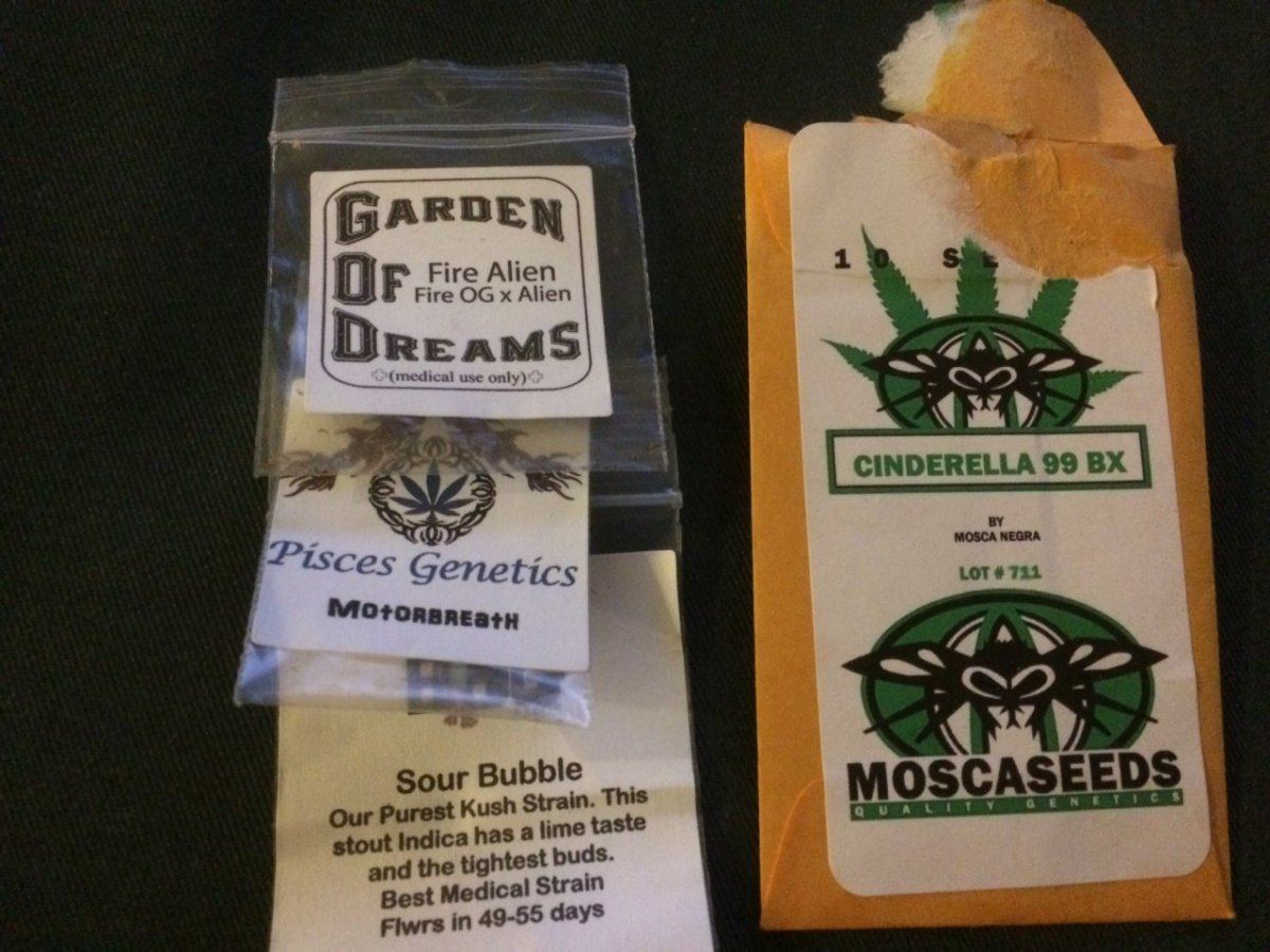 Fire alien sour bub motorbreath c99