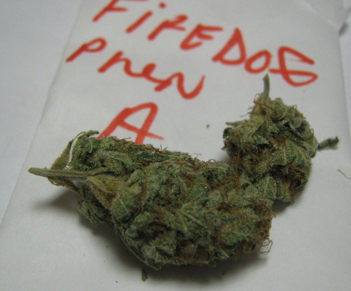Firedogbuds
