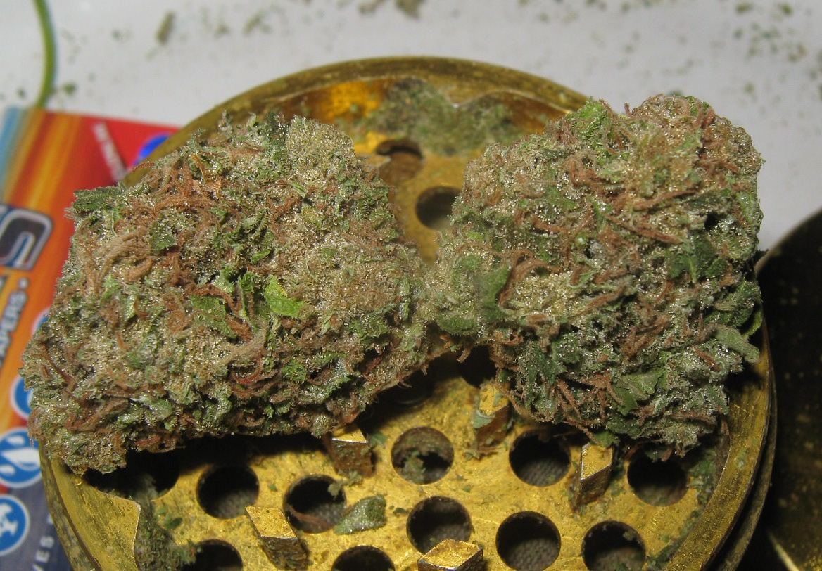 Firedognugs
