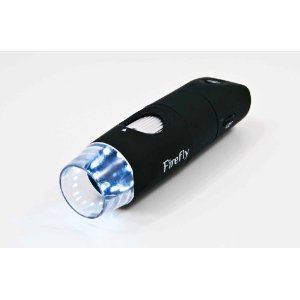 Firefly