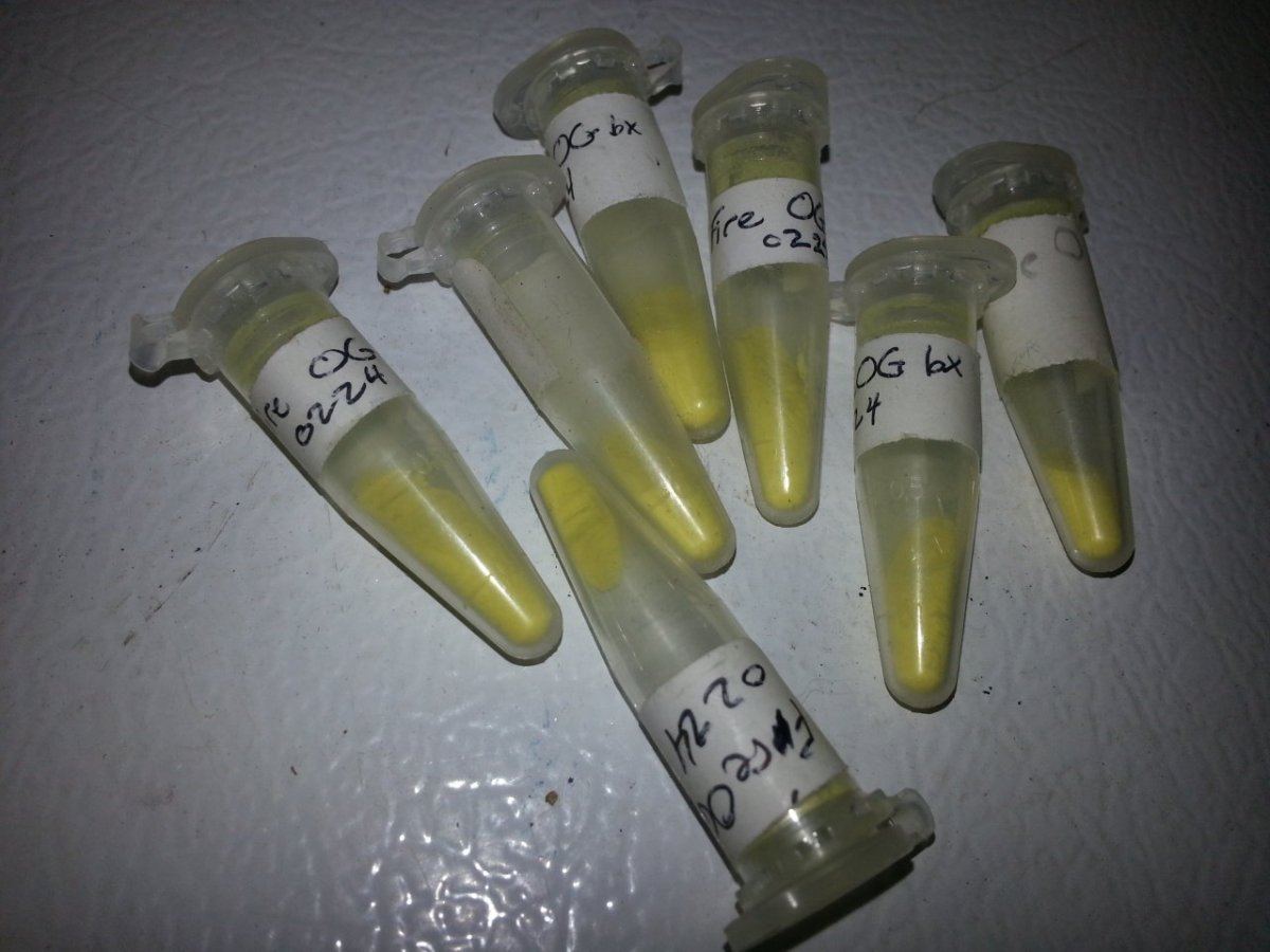 Fireog pollen