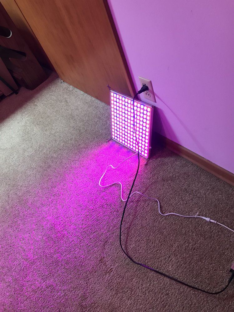 First experience cloning with led