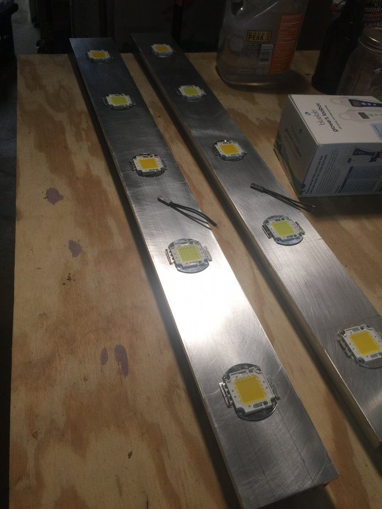 First grow   custom leds 3