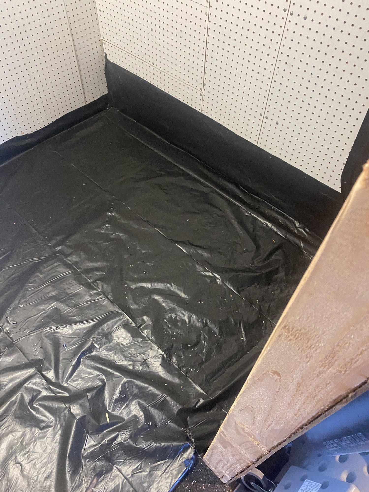First grow   moved grow room 10