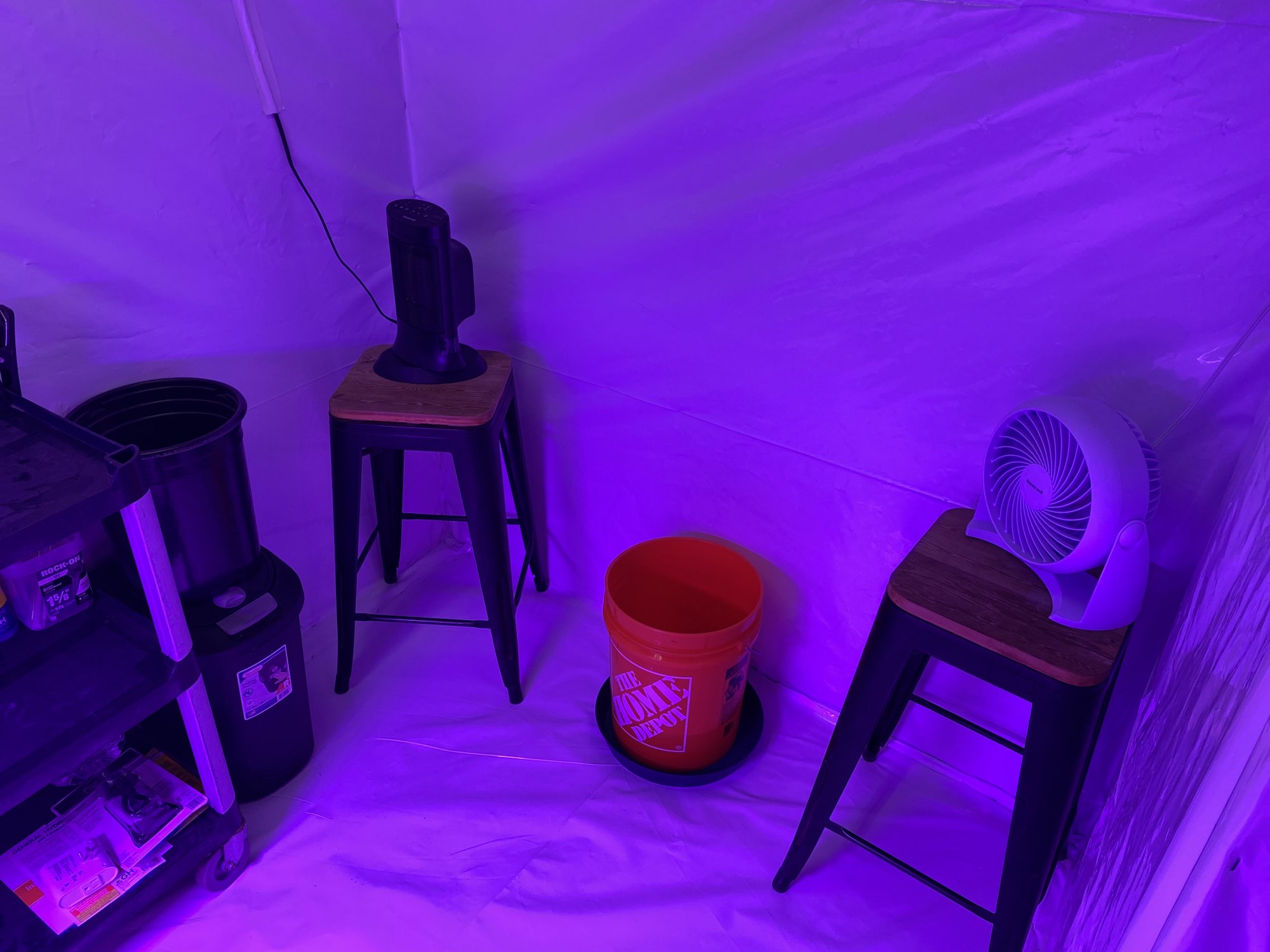 First grow   moved grow room 12