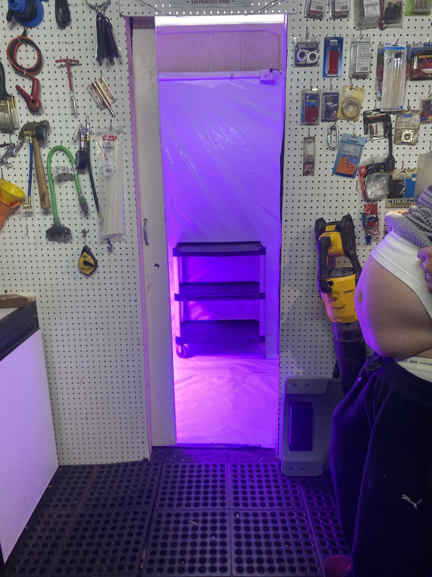 First grow   moved grow room 6