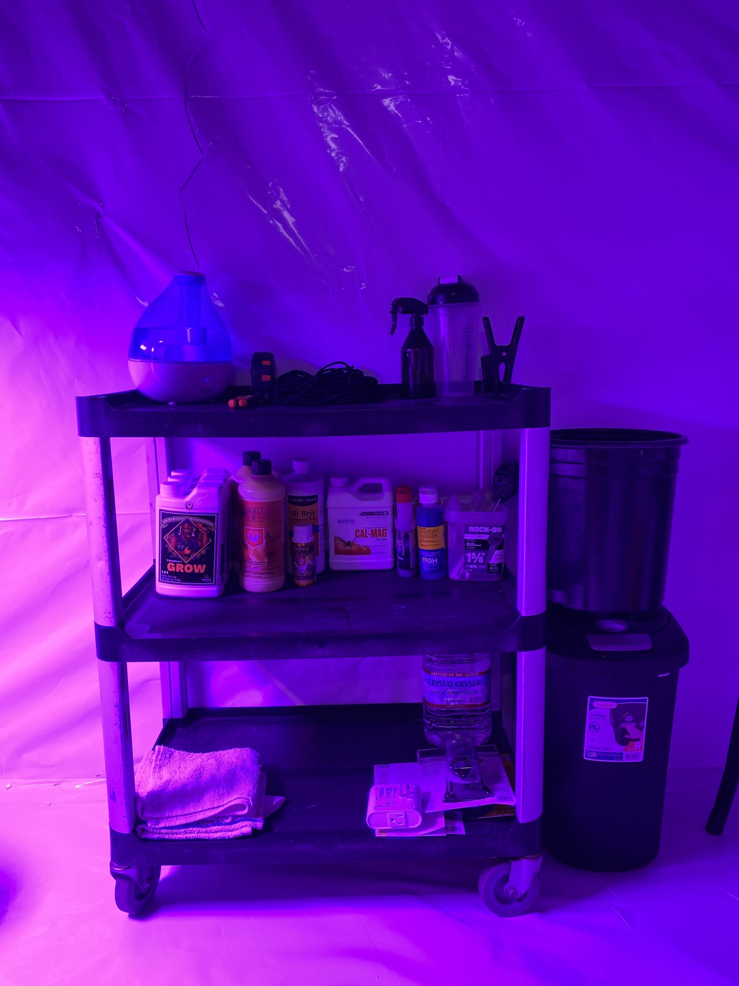 First grow   moved grow room 7