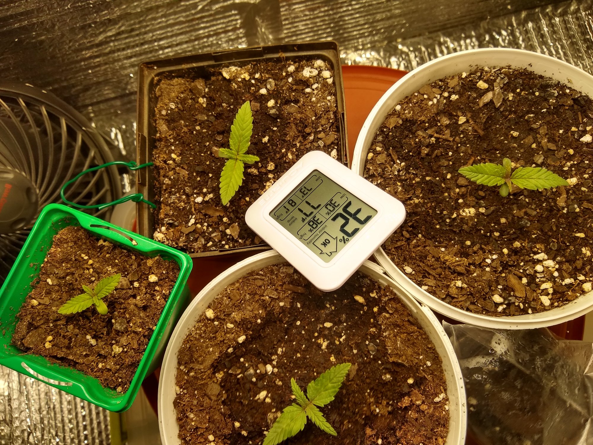 First grow need advisepointers
